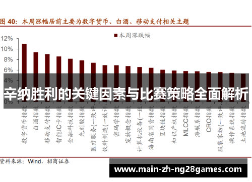 辛纳胜利的关键因素与比赛策略全面解析