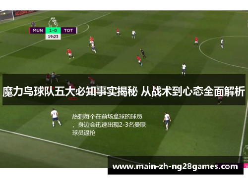 魔力鸟球队五大必知事实揭秘 从战术到心态全面解析 魔力鸟球队五大必知事实揭秘 从战术到心态全面解析