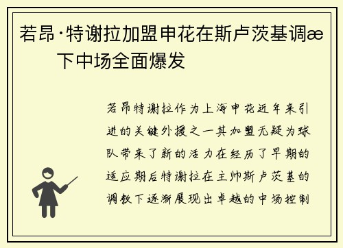 若昂·特谢拉加盟申花在斯卢茨基调教下中场全面爆发