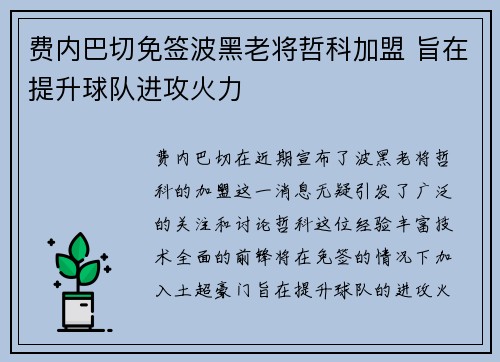 费内巴切免签波黑老将哲科加盟 旨在提升球队进攻火力