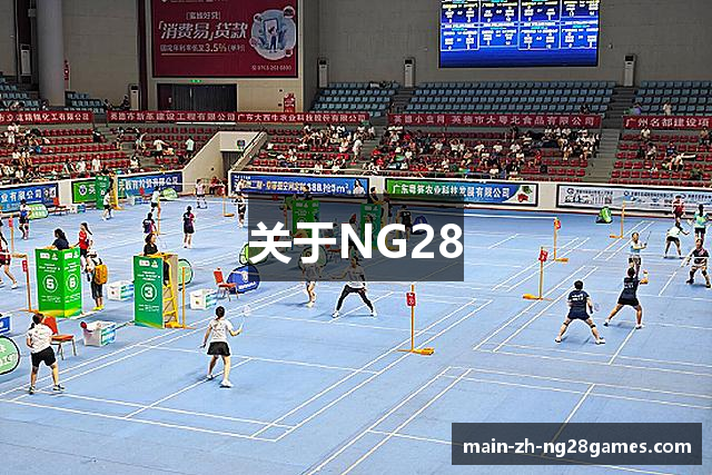 关于NG28