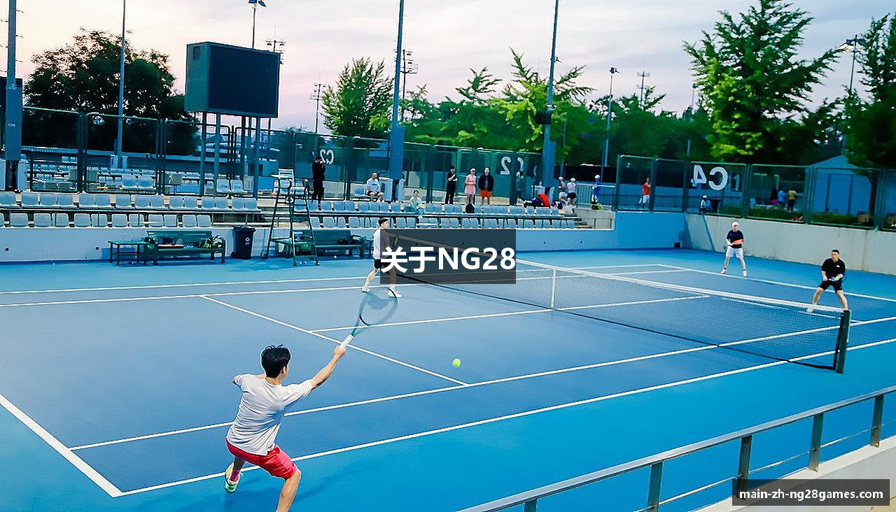 关于NG28